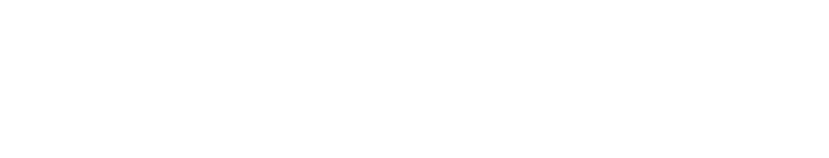 Logo_tvexpress